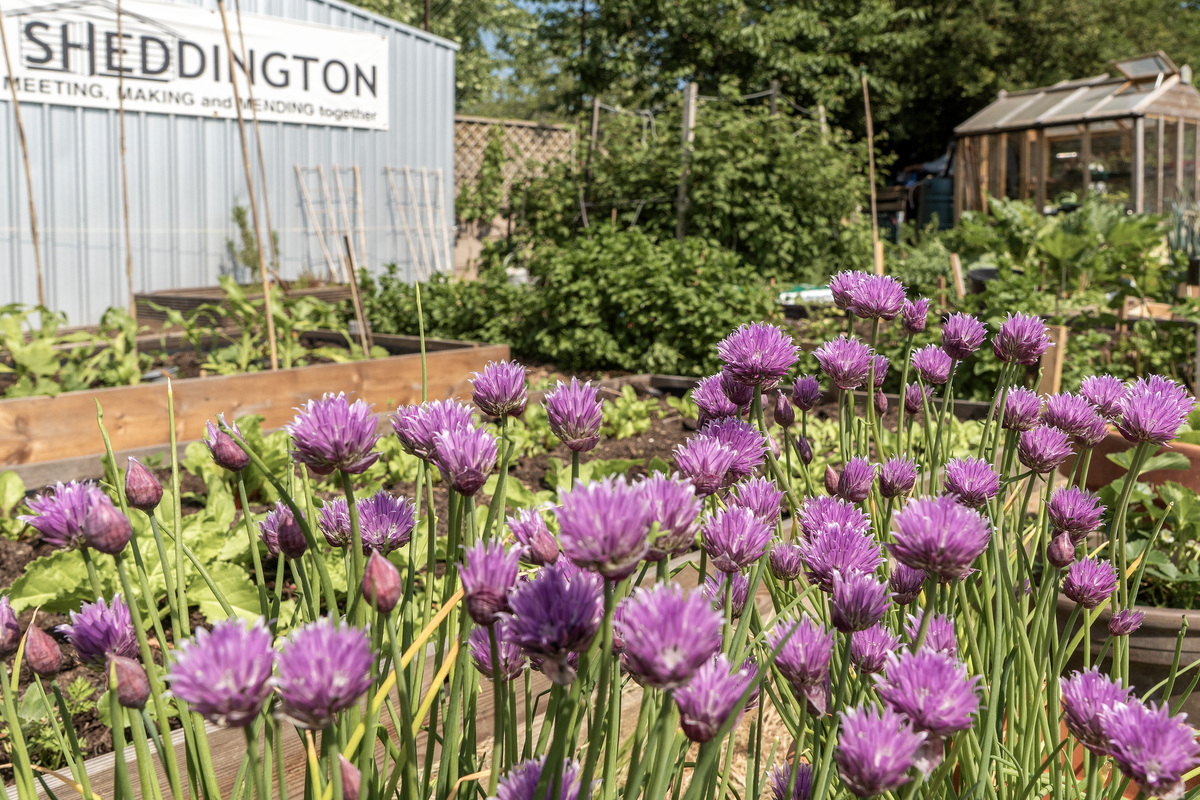 Community Garden